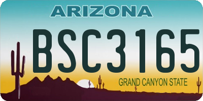 AZ license plate BSC3165