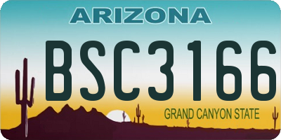 AZ license plate BSC3166