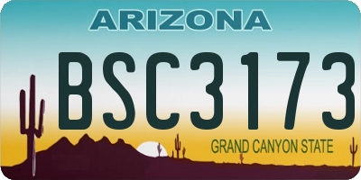 AZ license plate BSC3173