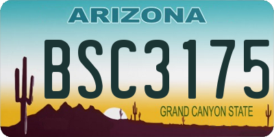 AZ license plate BSC3175