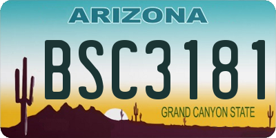 AZ license plate BSC3181