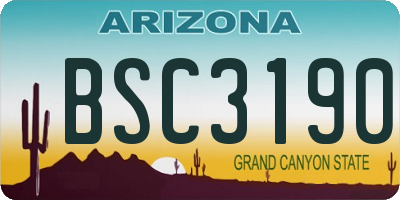 AZ license plate BSC3190