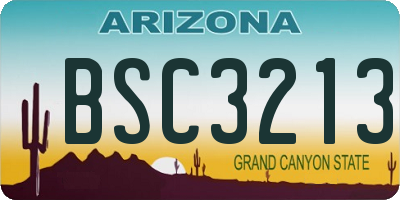 AZ license plate BSC3213