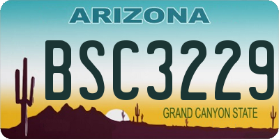 AZ license plate BSC3229