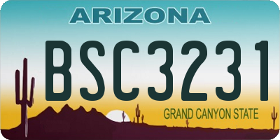 AZ license plate BSC3231