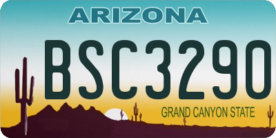 AZ license plate BSC3290