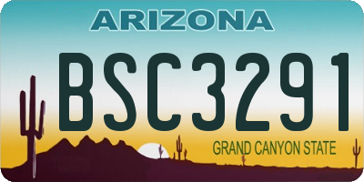 AZ license plate BSC3291