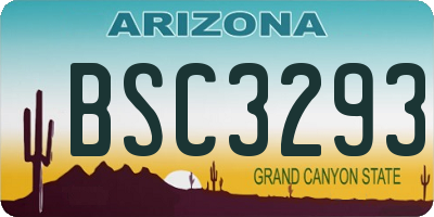 AZ license plate BSC3293