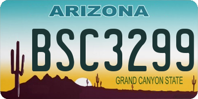 AZ license plate BSC3299