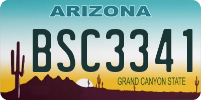 AZ license plate BSC3341