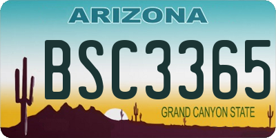 AZ license plate BSC3365