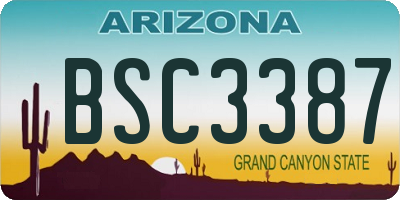 AZ license plate BSC3387