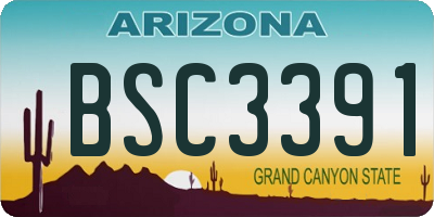 AZ license plate BSC3391