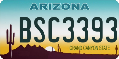 AZ license plate BSC3393