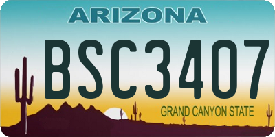 AZ license plate BSC3407