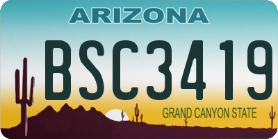 AZ license plate BSC3419