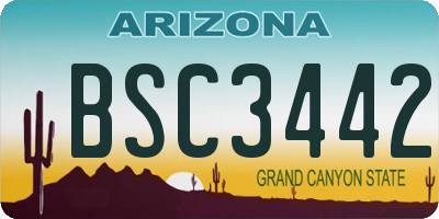 AZ license plate BSC3442