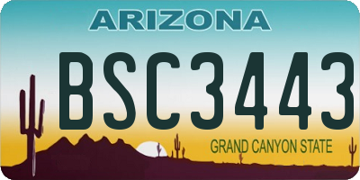 AZ license plate BSC3443