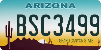 AZ license plate BSC3499
