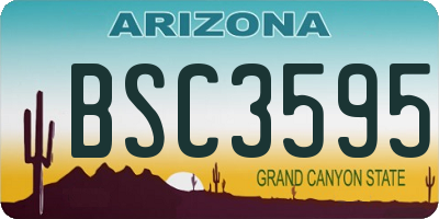 AZ license plate BSC3595