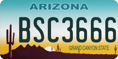 AZ license plate BSC3666