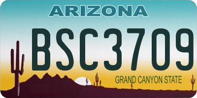 AZ license plate BSC3709