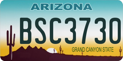 AZ license plate BSC3730