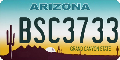 AZ license plate BSC3733