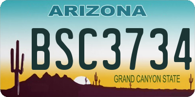 AZ license plate BSC3734