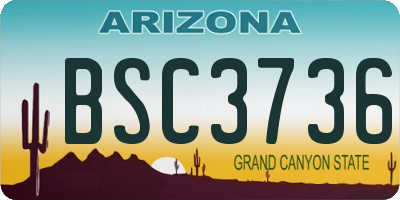 AZ license plate BSC3736