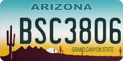 AZ license plate BSC3806