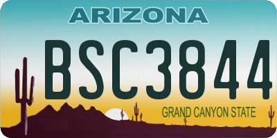 AZ license plate BSC3844