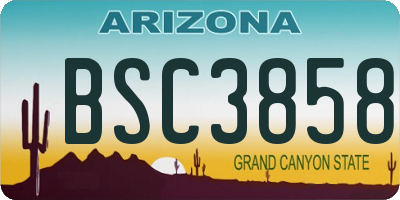 AZ license plate BSC3858
