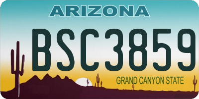 AZ license plate BSC3859