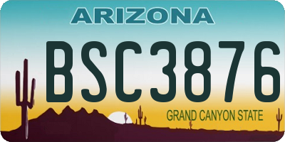 AZ license plate BSC3876