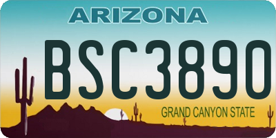 AZ license plate BSC3890