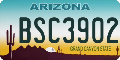 AZ license plate BSC3902