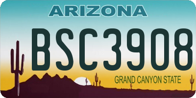 AZ license plate BSC3908