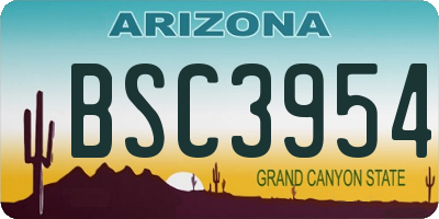 AZ license plate BSC3954