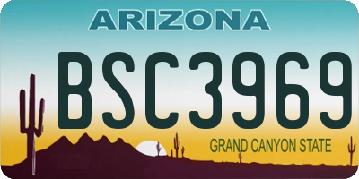 AZ license plate BSC3969