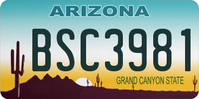 AZ license plate BSC3981