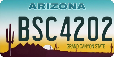 AZ license plate BSC4202