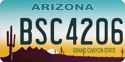 AZ license plate BSC4206