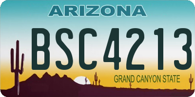 AZ license plate BSC4213