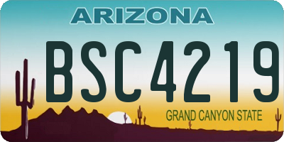 AZ license plate BSC4219