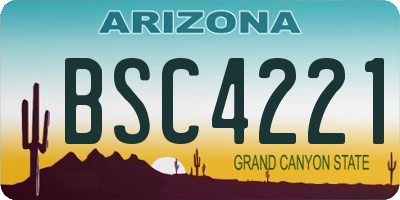 AZ license plate BSC4221