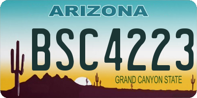 AZ license plate BSC4223