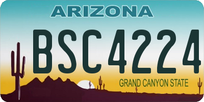 AZ license plate BSC4224