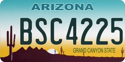 AZ license plate BSC4225