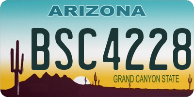 AZ license plate BSC4228